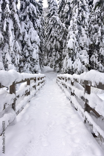 Tatry, zima, śnieg, mróz, góry, Zakopane, ferie, 