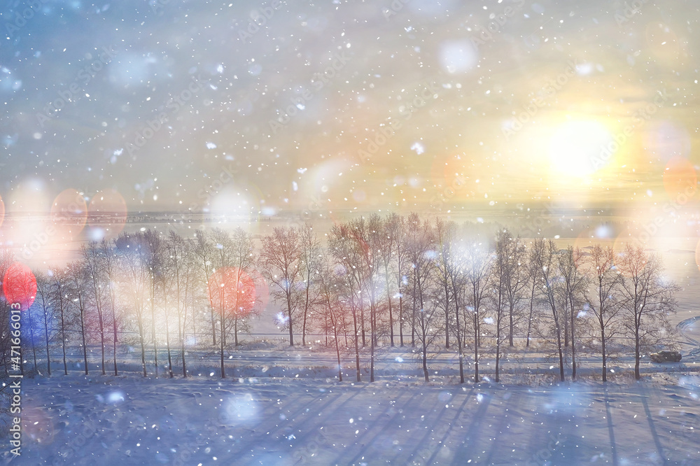 trees frost drone, abstract view background december landscape outdoor trees snow trees frost drone, abstract view background december landscape outdoor trees snow
