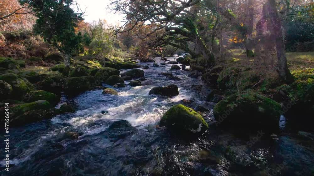Autumn Colours over River Dart from a drone, Dartmoor Park, Devon, England, Europe Autumn Colours over River Dart from a drone, Dartmoor Park, Devon, England, Europe
