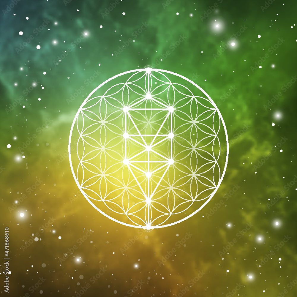 Sacred geometry tree of life ancient symbol vector illustration with