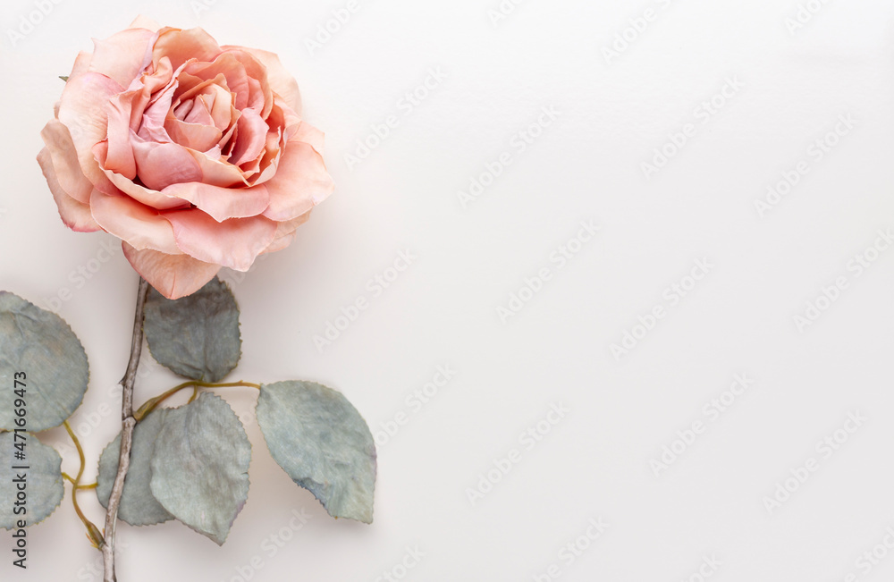 Fototapeta premium Flowers composition. Bouquet of pink roses in pastel colors. Flatlay.