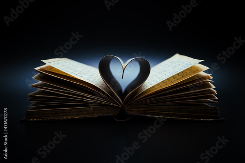 Fotografia Music is the literature of the heart