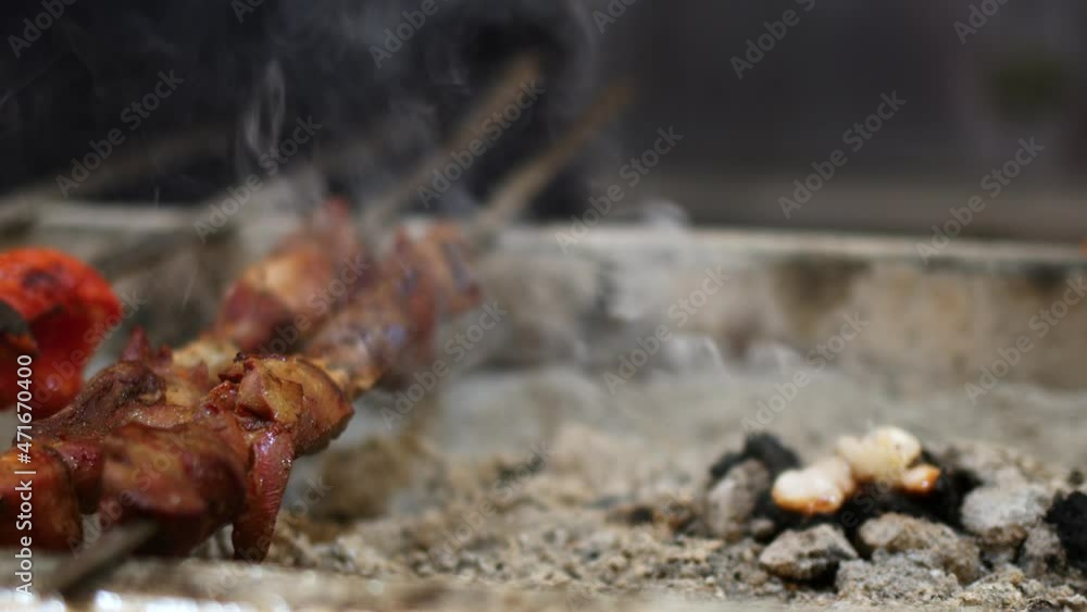 Turkish Traditional Shish Kebab Meat on a Barbecue Coal Fire Turkish Traditional Shish Kebab Meat on a Barbecue Coal Fire