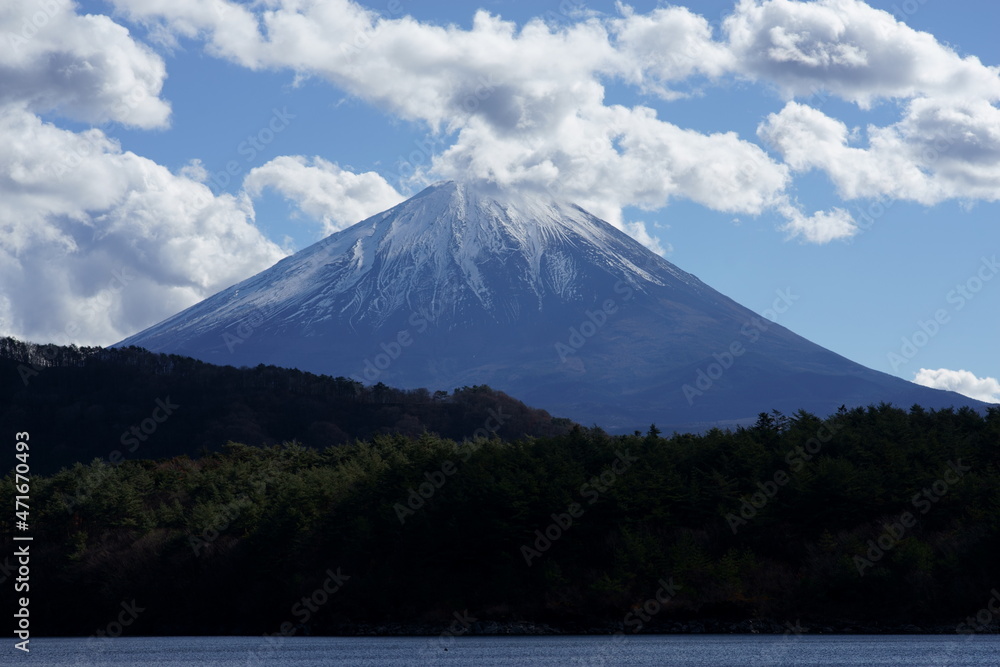 Fototapeta premium It feels like it's autumn already