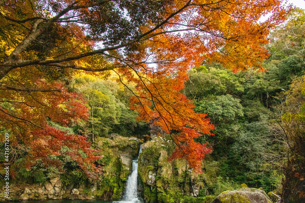紅葉と滝