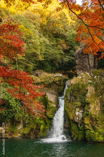 紅葉と滝 © ___hiro_gram