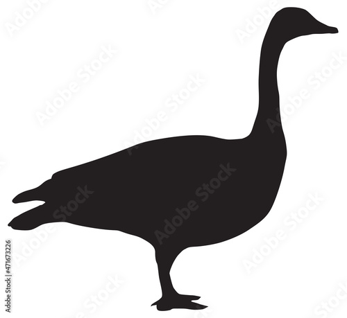 Canada Goose Silhouette