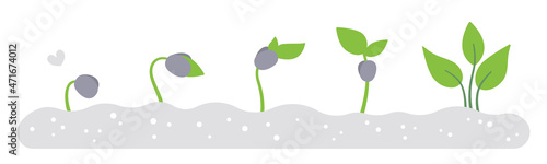 Plant growth stages, seedlings. Stages of seed germination from the ground. Gardening, plant growing. Flat vector illustration.