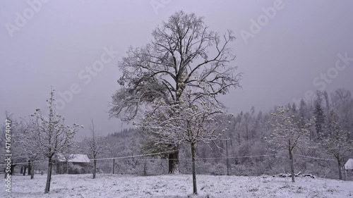 Wallpaper Mural Winter landscape with fresh snow on a snowy autumn day. Movie shot November 26th, 2021, Zurich, Switzerland. Torontodigital.ca