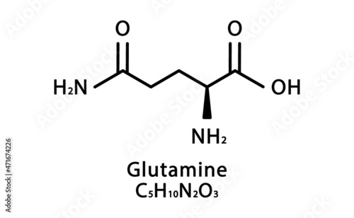 Glutamine molecular structure. Glutamine skeletal chemical formula. Chemical molecular formula vector illustration photo