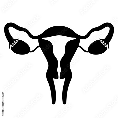 Uterus vector icon