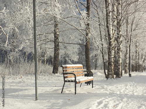 One winter frosty morning. Park, alley, shop, lantern. Trees covered with hoarfrost. Winter. Russia, Ural, Perm region.