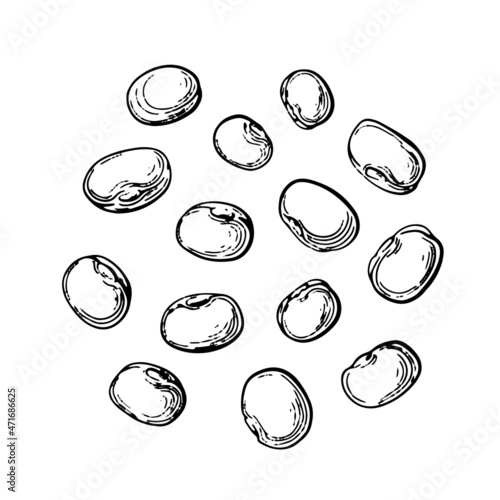 Mung beans Vector graphic set Natural protein food