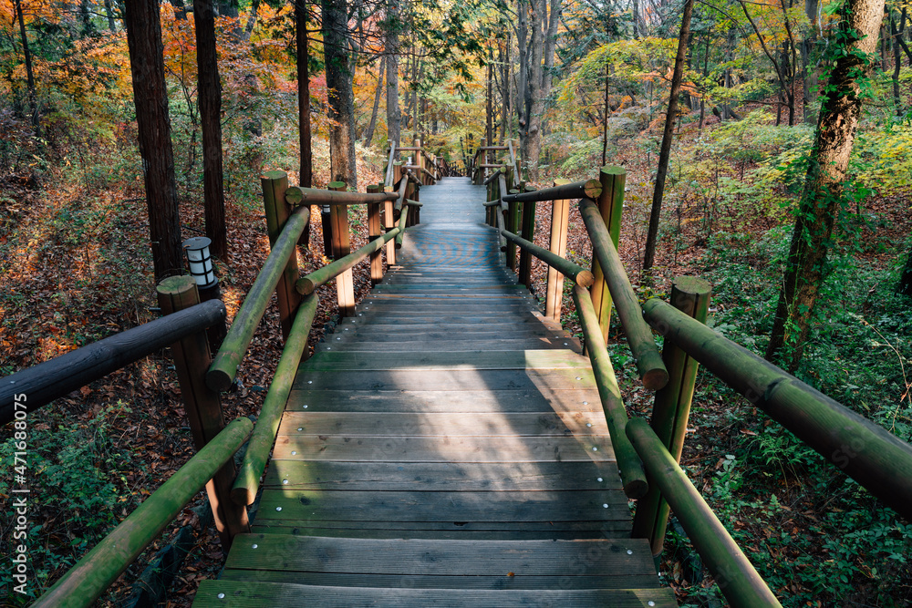 Fototapeta premium Wolmido island Wolmisan mountain trail at autumn in Incheon, Korea