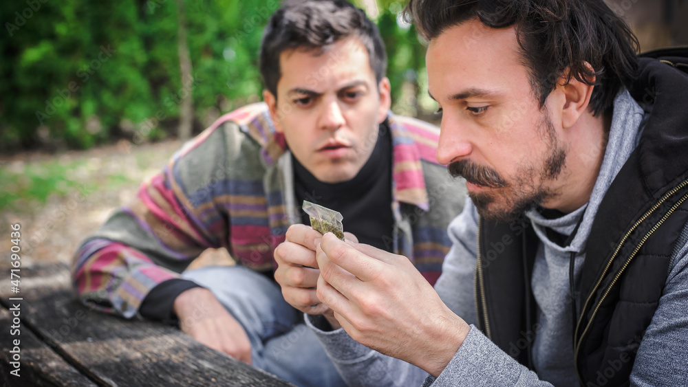 Friends shows marijuana cannabis weed grass packet. Closeup detail view Friends shows marijuana cannabis weed grass packet. Closeup detail view