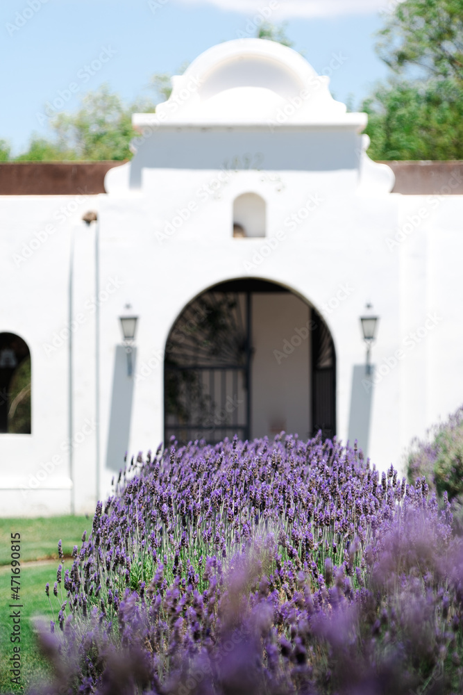 entrance to the garden