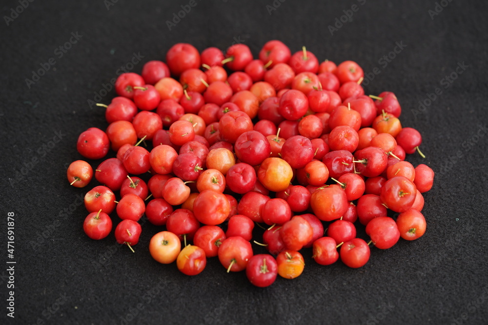 Malpighia glabra is a tropical fruit of the Malpighiaceae family. Acerola are among those with the highest levels of vitamin C; 100 g fresh juice contains up to approx. 1000-1500 mg of the vitamin. Malpighia glabra is a tropical fruit of the Malpighiaceae family. Acerola are among those with the highest levels of vitamin C; 100 g fresh juice contains up to approx. 1000-1500 mg of the vitamin.