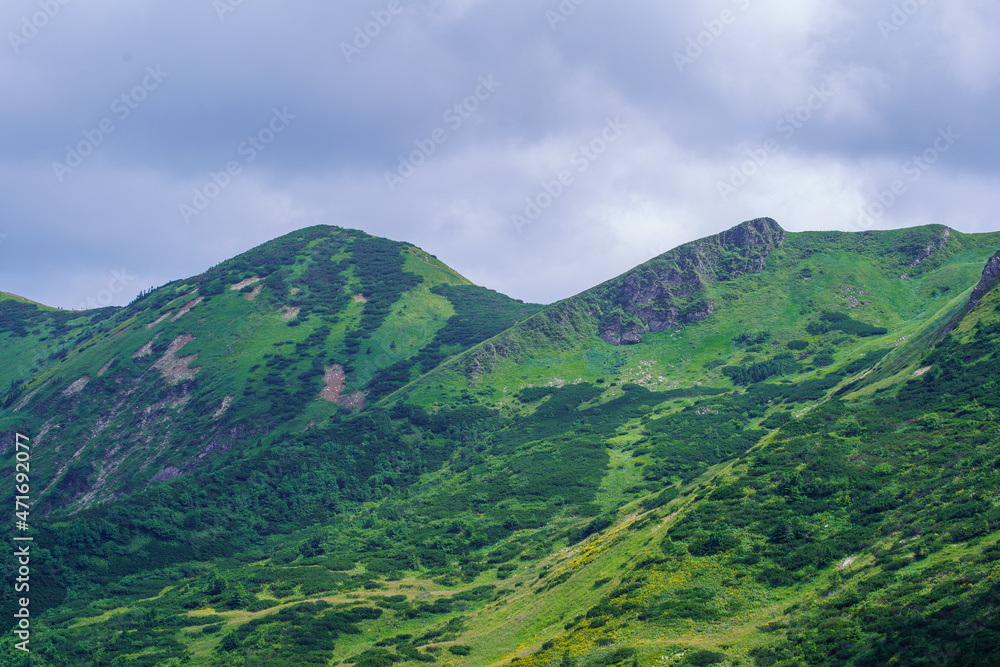 misty green mountain cores in summer covered with grass misty green mountain cores in summer covered with grass