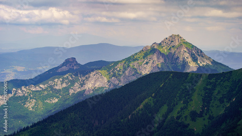 Fototapeta Naklejka Na Ścianę i Meble -  misty green mountain cores in summer covered with grass