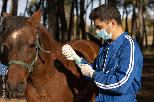 vet with mask and gloves preparing medicine for the horse