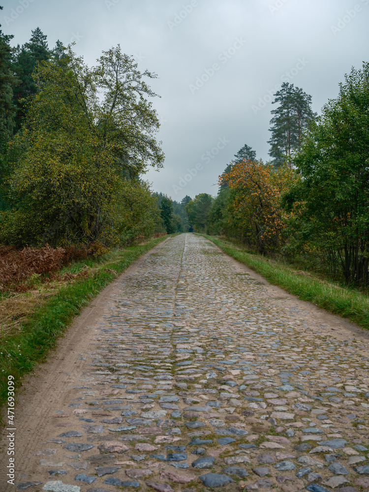 Fototapeta premium simple asphalt road in perspective