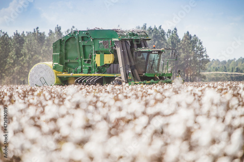 Cotton Harvester Harvesting Cotton
