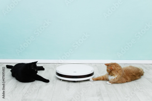 White robot vacuum cleaner and two cats are lying on floor of the room. ... photo