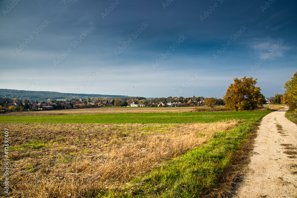 Fototapeta premium country road in autumn