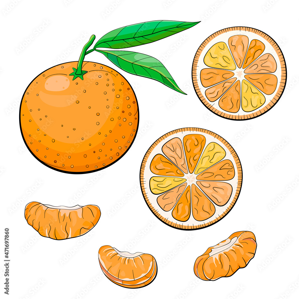 Tangerine with leaves and slices Tangerine with leaves and slices