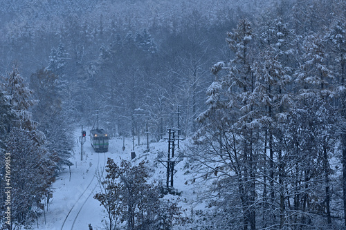 雪深い森と鉄道