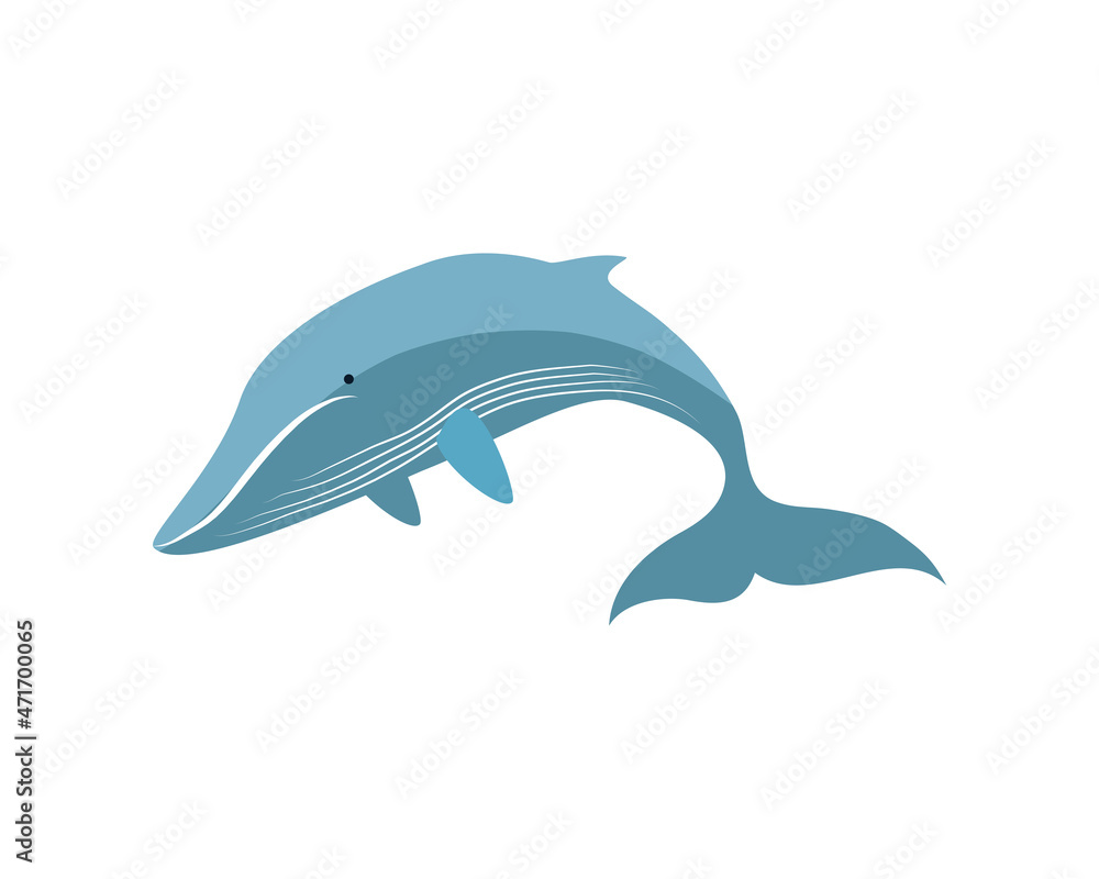 Fototapeta premium whale under the sea