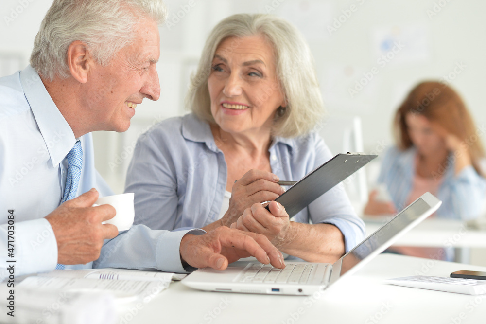 © aletia2011 - senior couple working together in office