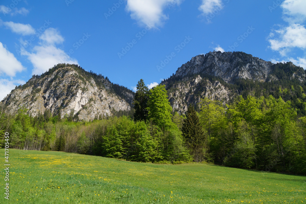 The German Alps in Hohenschwangau near castles Hohenschwangau and Neuschwanstein on a fine spring day in May, Schwangau, Allgau, Bavaria, Germany	