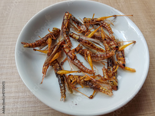 Fried grasshopper, from species Valanga nigricornis or Javanese grasshopper. photo