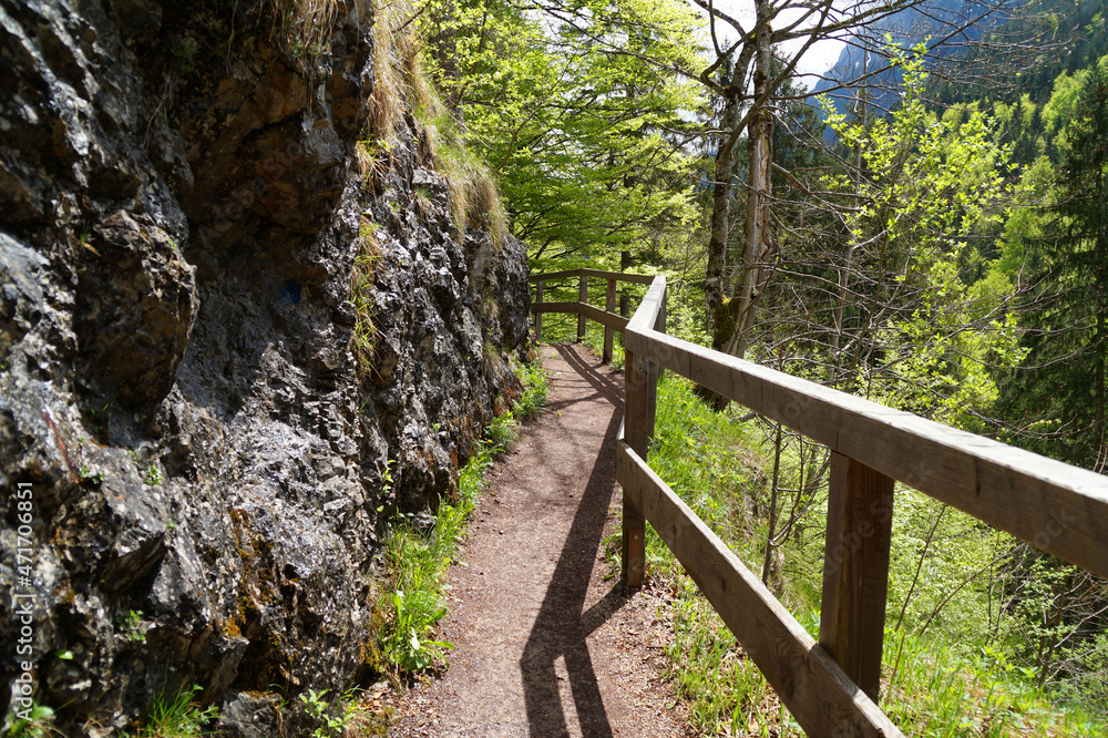 hiking trail in the woods in Hohenschwangau, Allgau,  in the Bavarian Alps on a warm sunny day in April (Bavaria, Germany)