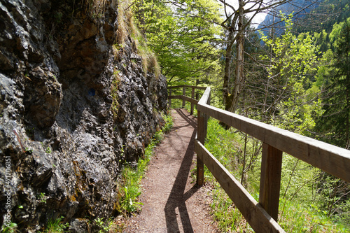 hiking trail in the woods in Hohenschwangau, Allgau, in the Bavarian Alps on a warm sunny day in April (Bavaria, Germany)