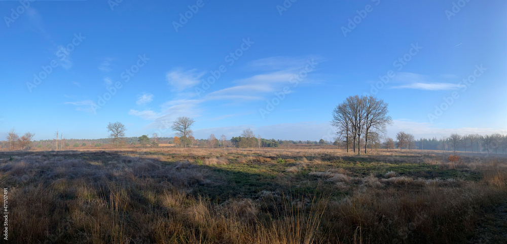 Panorama from the Sallandse Heuvelrug national park Panorama from the Sallandse Heuvelrug national park