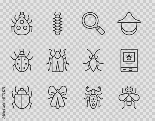 Set line Mite, Insect fly, Magnifying glass, Clothes moth, Ladybug, Beetle, deer and Book about insect icon. Vector