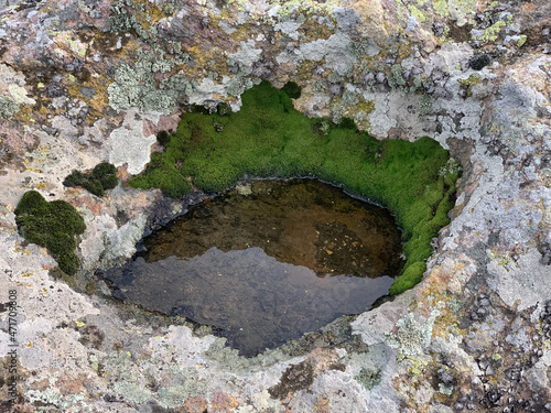 Puddle on the Rock