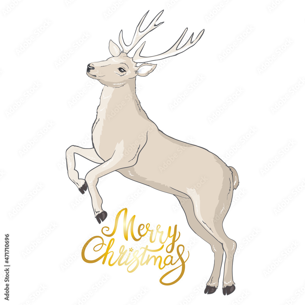 Deer with Christmas balls on the horns. Christmas card with a deer and letters. Deer with Christmas balls on the horns. Christmas card with a deer and letters.