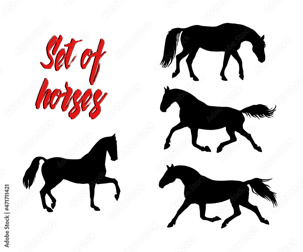 Φωτογραφία a set of silhouettes of female riders isolated on a white background, seamless b