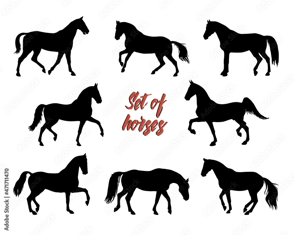a set of silhouettes of female riders isolated on a white background, seamless background, pattern for decoration, equestrian 