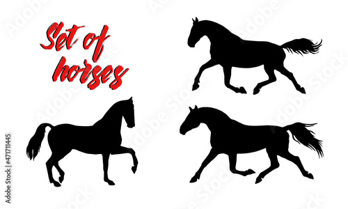 a set of silhouettes of female riders isolated on a white background, seamless background, pattern for decoration, equestrian 