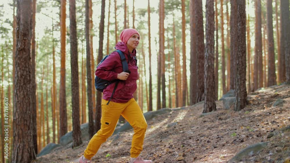Attractive young woman with backpack walks in pine forest, looks around, smiling. Happy caucasian female tourist admiring nature Enjoying journey, Trekking Hiking trip Attractive young woman with backpack walks in pine forest, looks around, smiling. Happy caucasian female tourist admiring nature Enjoying journey, Trekking Hiking trip