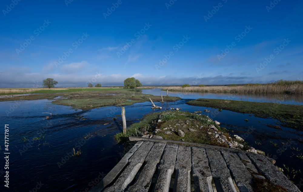 Wiosennt wczesny   poranek nad rozlewiskami rzeki  Biebrza w Biebrzańskim Parku Narodowym
 - obrazy, fototapety, plakaty 