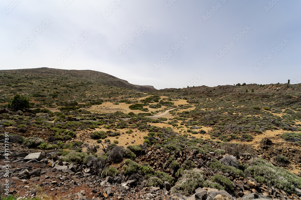 Desert landscape from Las Canadas caldera of Teide volcano. Tenerife. Canary Islands. Spain. Desert landscape from Las Canadas caldera of Teide volcano. Tenerife. Canary Islands. Spain.