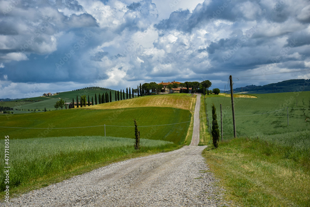 Tuscany, italy, may 2018, the road leads to the top of the hill to the farm and the yellow field