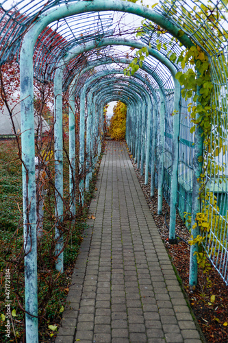 A tunnel in the park
