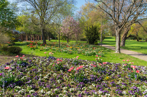 Flower beds in a park in the spring sunshine.