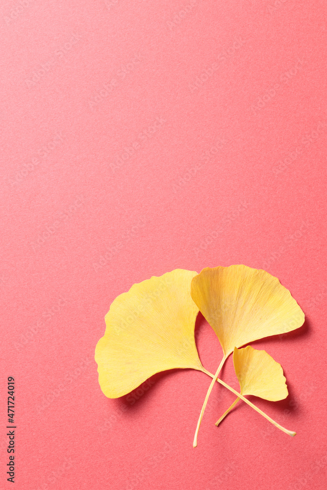 三枚の黄色いイチョウの葉　赤色背景